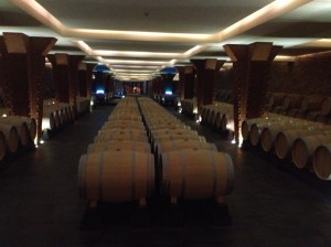 Inside the underground bodega. Photo by: Alexa Tomaszewski 