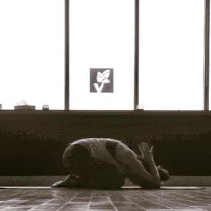 10370438_10152827785230379_4326834312167705946_n